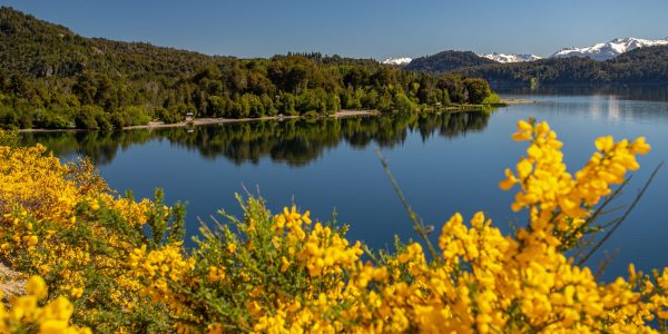 50780122217_042e71295a_o